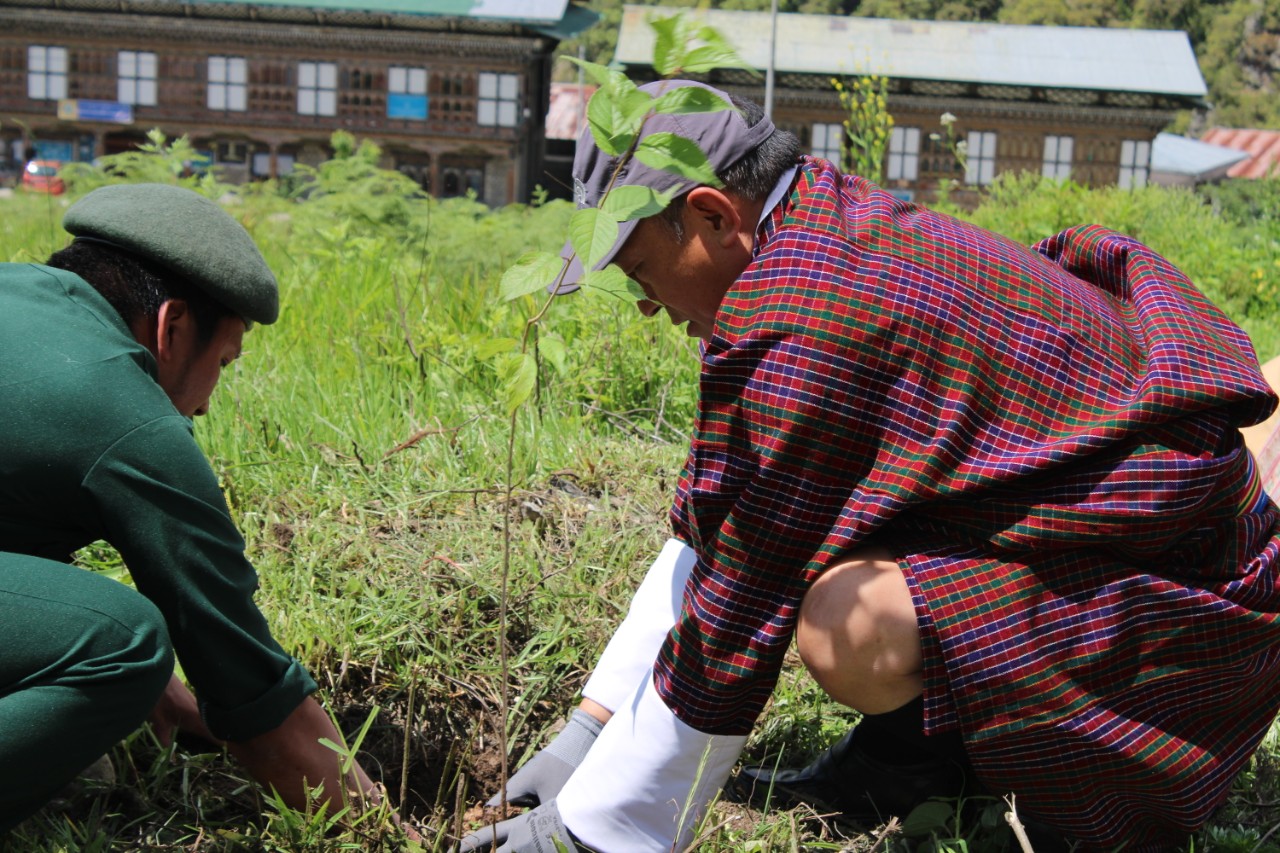 Dzongdag planting a sapling