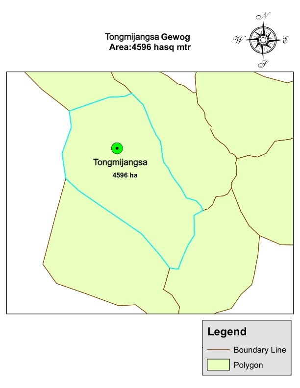 Tongmijangsa