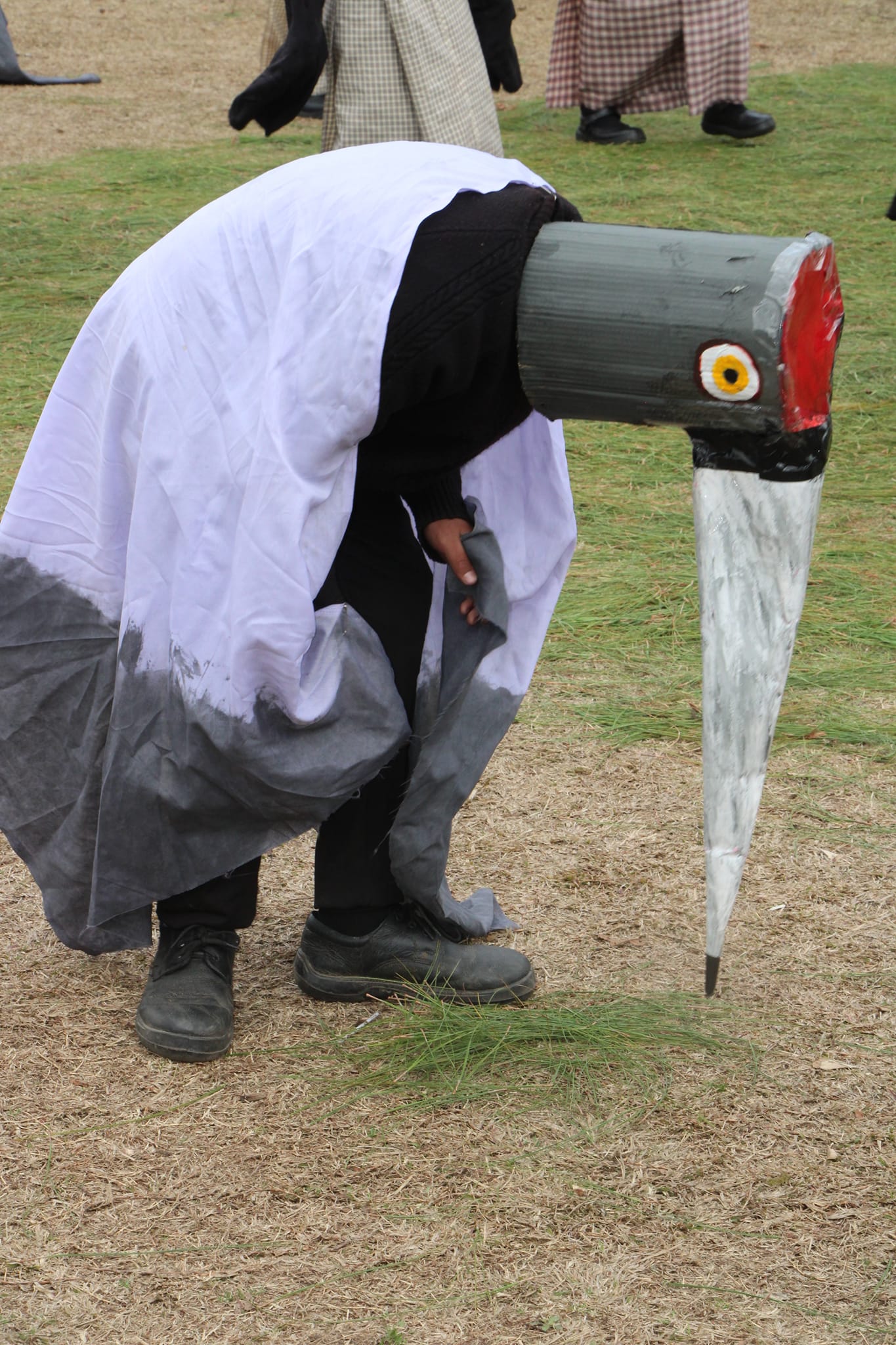 Black-Necked Crane Farewell Festival 