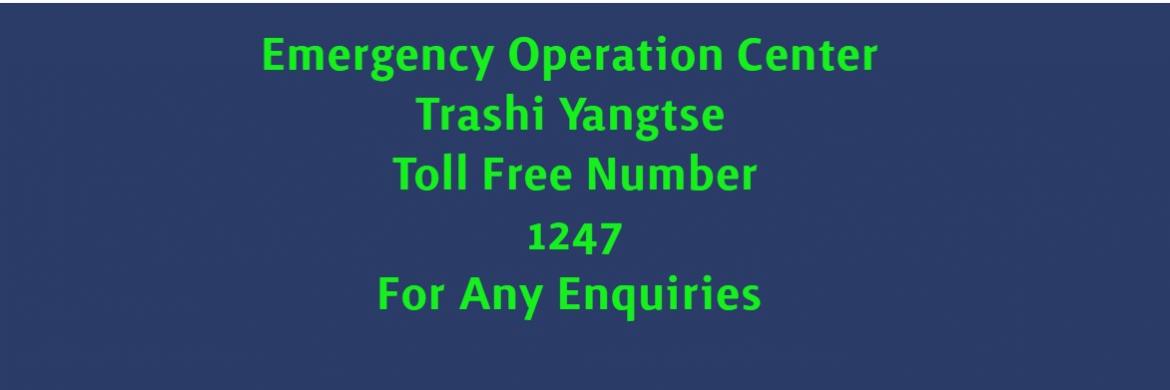 Toll Free